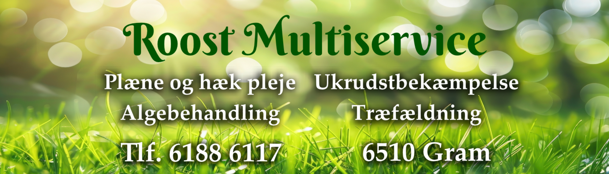Roost Multiservice